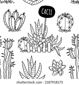 Cacti and succulent seamless pattern. Hand drawn illustration in doodle style. Vector