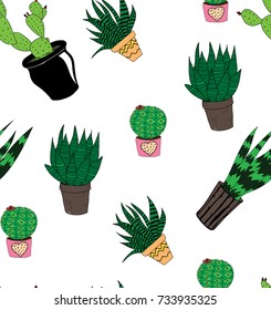 cacti and succulents