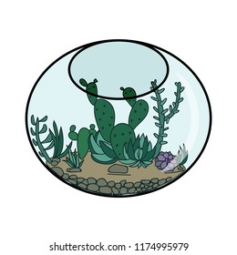 cacti and succulents in the aquarium.