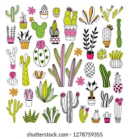 Cacti and succulents big vector set on white background. Cute plants botanical collection