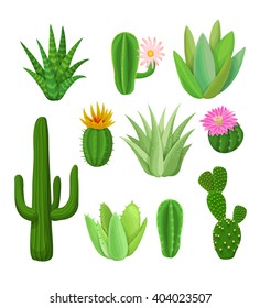 Cacti and succulents with flowers. Green plants for landscape. Cacti and succulents vector illustration