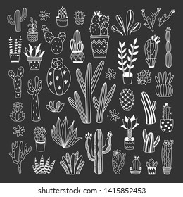 Cacti and succulents hand drawn vector illustrations on black background