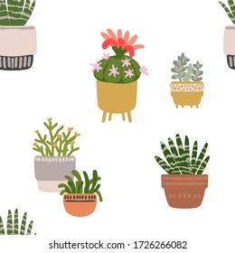 Cacti and succulents. Indoor plants and flowers in pots. Landscaping at home. Decor for the apartment and garden. 