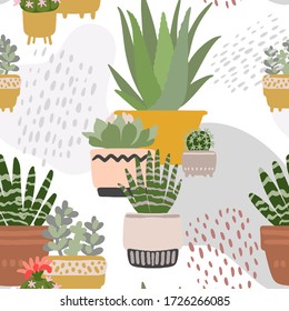 Cacti and succulents. Indoor plants and flowers in pots. Landscaping at home. Decor for the apartment and garden. 