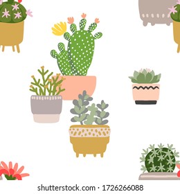 Cacti and succulents. Indoor plants and flowers in pots. Landscaping at home. Decor for the apartment and garden. 