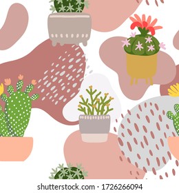 Cacti and succulents. Indoor plants and flowers in pots. Landscaping at home. Decor for the apartment and garden. 