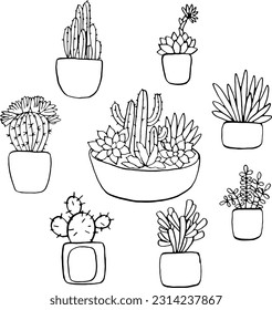 cacti and succulents linear black and white vector image for coloring