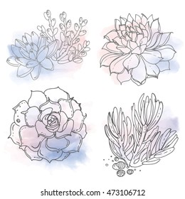 Cacti and succulents painted a white line on a watercolor background. Vector sketch of indoor plants. Color rose quartz, serenity.