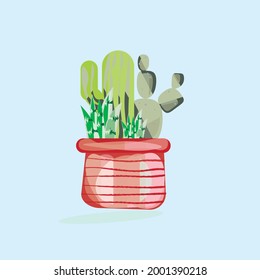 cactus y suculentos en una olla
