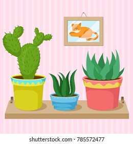 Cacti and succulents in pots on the shelf vector Illustration