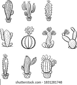 Cacti and succulents round doodles illustration. Home plants in pots and cups. A variety of outlined cactuses and succulents with flowers, spines and without.