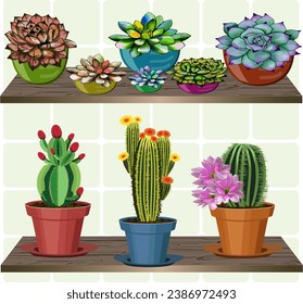 Cacti and succulents in a set.Vector set of succulents and blooming cacti in pots on wooden shelves.