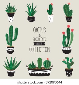 Cacti and succulents vector collection
Set of nine decorative houseplants