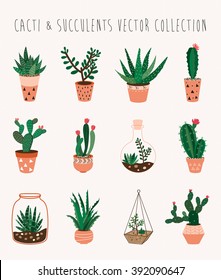 Cacti and succulents vector collection
Set of twelve decorative houseplants