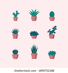 Cacti and Succulents Vector plants set 