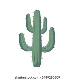 Cacti tree desert plant, cactus vector illustration design template elements