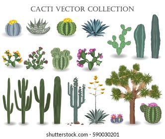 Cacti vector collection. Saguaro, agave, joshua tree, prickly pear and other cactuses