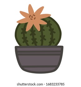 Cacti vector drawings. Cactus in a flower pot. They are with spikes and flowers. Home flowers. Color simple vector illustration.