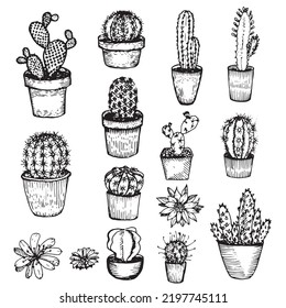 Cacti. Vector hand drawn illustration. Design for postcards, coloring pages or printing
