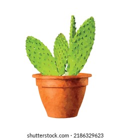 Cacti vector illustration. Cactus in pot on white background. Succulents collection. Home interior. Houseplants. Botanical. Succulent watercolor. Clipart for logo, greeting card and design.