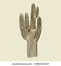 Cacti in vintage engraving style. Hand drawn succulent sketch of the desert isolated. Natural houseplant doodle sketch. Vector wild cactus forest illustration in a cartoon design element