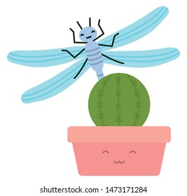 cactu in ceramic pot and dragon fly kawaii style
