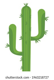 cactu plant nature isolated icon
