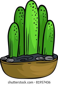 cactus