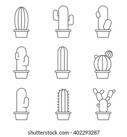 Cactus abstract collection in vector illustration
