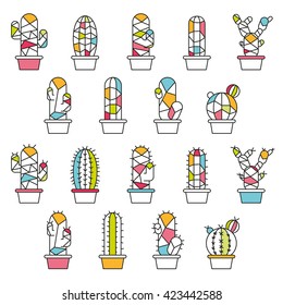 Cactus abstract flat colorful collection in vector illustration
