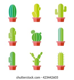 Cactus abstract flat colorful collection in vector illustration
