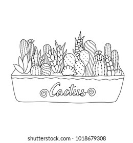 Cactus for adult and children coloring book. Handdrawn. vector illustration.