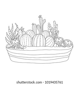 Cactus for adult and children coloring book. Handdrawn. vector illustration.