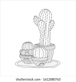Succulent Coloring Page Hd Stock Images Shutterstock