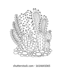 Cactus for adult and children coloring book. Handdrawn. vector illustration. 