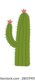 Cactus and arm 