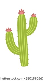 Cactus with arms and small spines topped by blooming flowers, clean lines on blank background. Symbol of resilience, arid survival, and endurance in nature. Cartoon vector illustration.