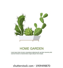 Cactus in beautiful white Pot. Home Garden. Plants for Home Comfort. Flat vector illustration.