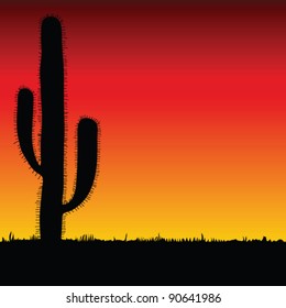 cactus big black silhouette on color background