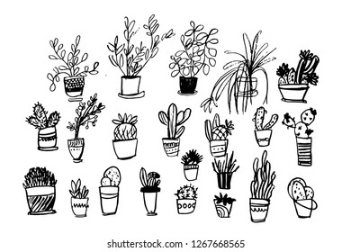 Cactus big set illustration. Plants for your design wallpapers, patterns, cards