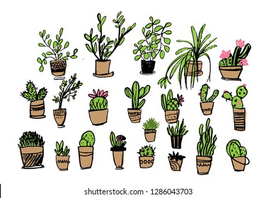 Cactus big set illustration. Plants for your design wallpapers, patterns, cards