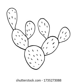 Cactus. Black lines on a white background. Vector.