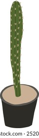 Cactus in black pot illustration