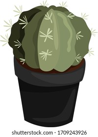 Cactus en olla negra, ilustración, vector sobre fondo blanco