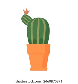 Cactus in bloom in ceramic pot, succulent decorative houseplant for interior decor vector illustration