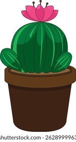 Cactus Bloom House Plant Illustration