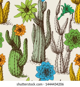 Cactus in bloom seamless pattern hand drawn