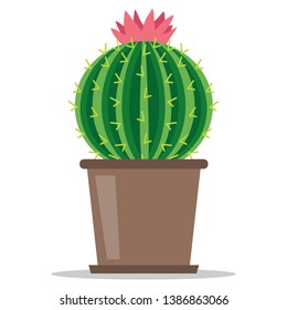 Cactus, blooming green cactus with shadow in a flowerpot isolated on white background. Vector illustration of a cactus in a flowerpot.