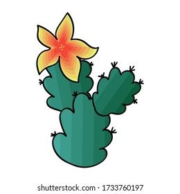 Cactus blooming. Image of a flowering cactus plant vector. 