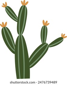 Cactus Blooming Plant Vector Illustration